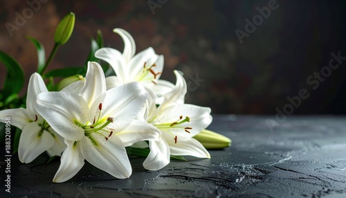 Close-up of white lilies on a dark textured surface, highlighting their elegance and beauty.
