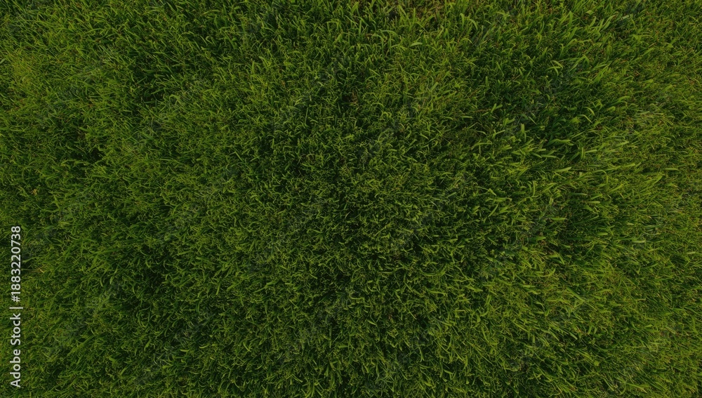 Fototapeta premium Aerial view of lush green grass, suitable for environmental awareness visuals, Earth Day