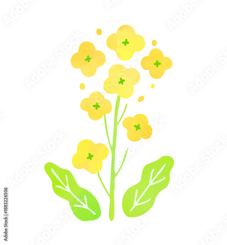 菜の花のイラスト