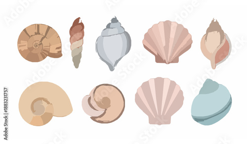 Colorful watercolor seashell collection vector illustration for summer beach and ocean themes