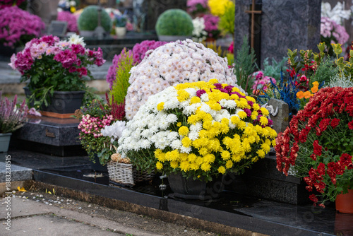 Gros bouquets de fleurs fraiches et multicolore déposés sur les tombes dans cimetière à l'occasion de la Toussaint. France. Cela rend hommage au défunt et témoigne de l'attachement et du respect.