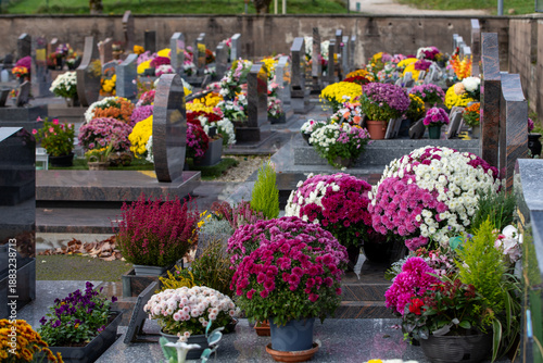 Cimetière avec des sépultures couvertes de fleurs fraiches à l'occasion de la Toussaint. France