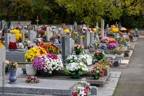 Photography Cimetière avec des sépultures couvertes de fleurs fraiches à l'occasion de la Toussaint