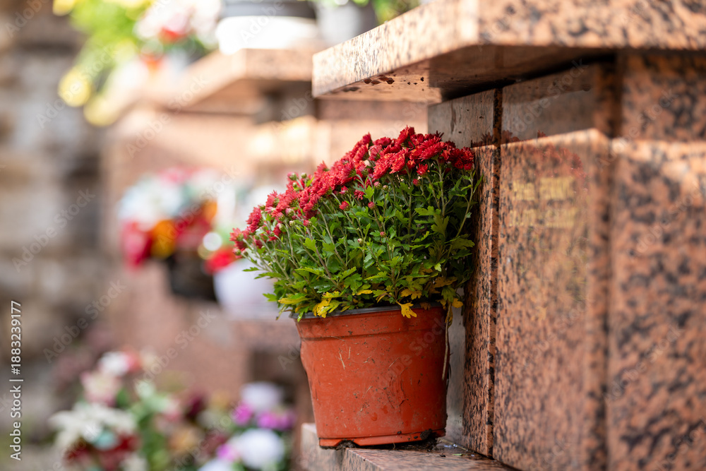 Fototapeta premium Bouquets de fleurs fraiches et multicolore déposés sur un columbarium, dans cimetière à l'occasion de la Toussaint. Monument de conservation des urnes funéraires après une crémation. France.