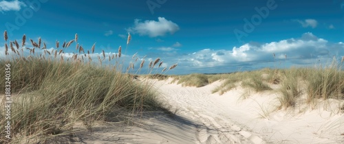Scenic dune beach scene featuring sand, dune grass, blue sky, and clouds on a serene summer day