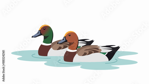 Two ducks swim peacefully in light blue water