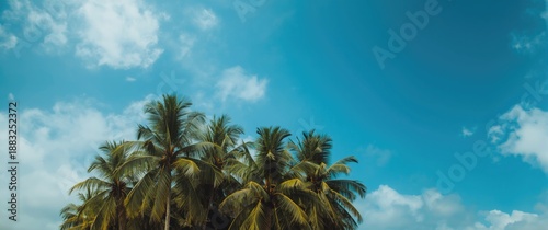 Bright background featuring...