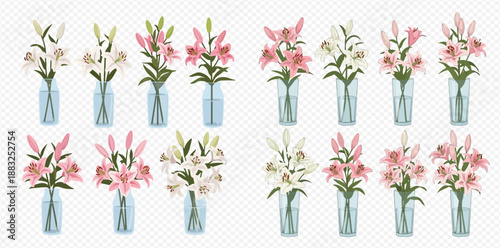 Collection of beautiful pink and white lily flowers in glass vases, elegant floral arrangements for decoration.
