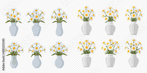 Set of beautiful daisy flowers in various white and light blue vases, vector illustration on transparent background.