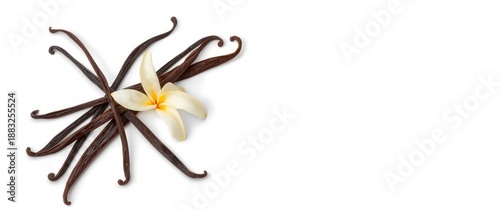 White background with vanil...
