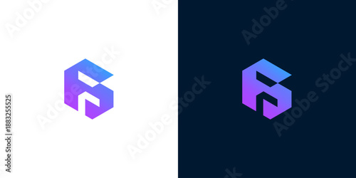 Modern abstract hexagon logo design in purple and blue gradient with clean lines on white and dark backgrounds