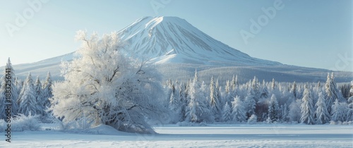 Snow-Covered Frozen Trees i...