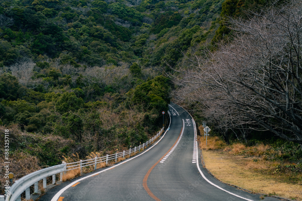 Fototapeta premium Guardrail and tarmac road through green vegetation and mountain landscape in Shikoku Island, Japan