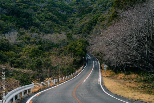 Guardrail and tarmac road through green vegetation and mountain landscape in Shikoku Island, Japan