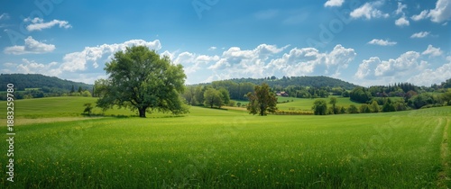 A scene with trees and hill...