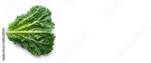 Green cabbage or kale lettu...