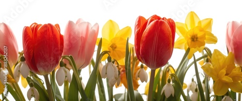 White background with red a...