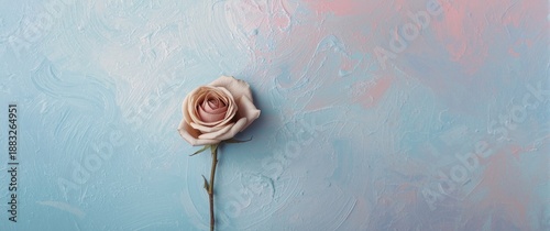 Dried rose surrounded by bl...