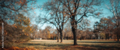 out-of-focus image of park ...