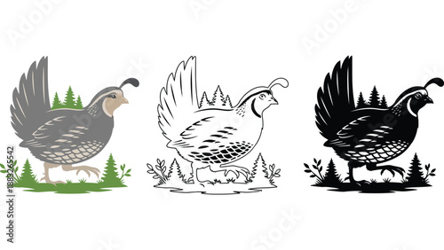 A colorful illustration of a quail bird in different shades and styles outdoors