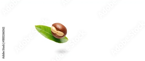 Green leaf and Macadamia nu...