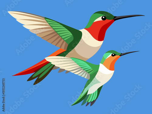 hummingbird and flower