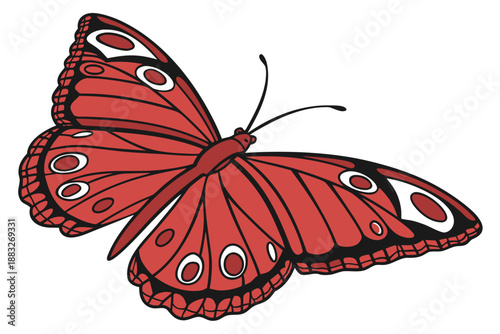 butterfly vector illustration