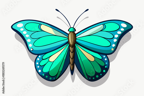 butterfly vector illustration