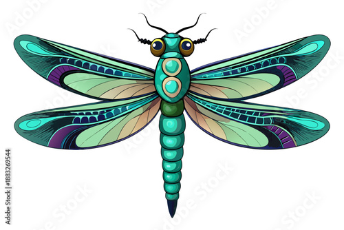 dragonfly on a white background