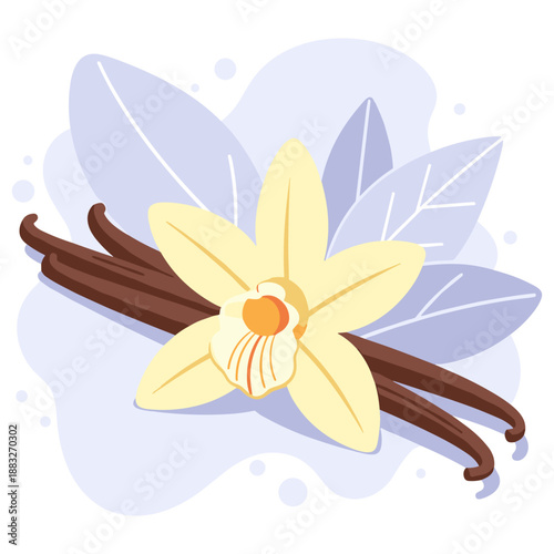 Vanilla flower and pods illustration with abstract leaves background