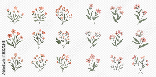 Collection of various delicate floral bouquets and sprigs with leaves and small blossoms, perfect for design elements.