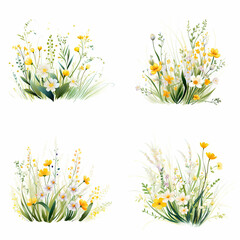 grass and flowers
