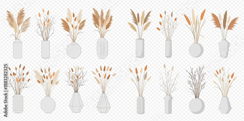 Set of various dried pampas grass and floral arrangements in white vases, isolated on transparent background.