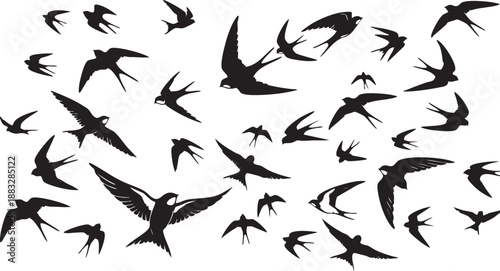 Silhouettes of numerous swift birds captured in dynamic flight create an abstract and dramatic pattern against a stark black background suggesting movement.