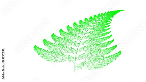 Wallpaper Mural fougère fractale 4K Torontodigital.ca