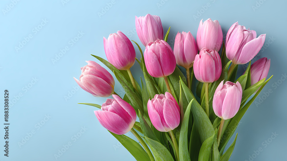 Fototapeta premium Beautiful composition of pink tulips flowers spring bouquet on light blue background fresh floral arrangement for mothers day greeting card and romantic seasonal celebration with copy space