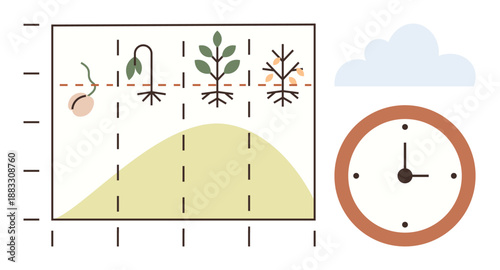 Plant development stages, time management, life cycle, agriculture planning, ecosystem study, environmental awareness. Graph showing plant growth phases and clock. Plant development and time