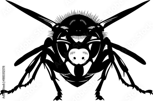 Frontal view silhouette of a hornet insect with large compound eyes and spread wings