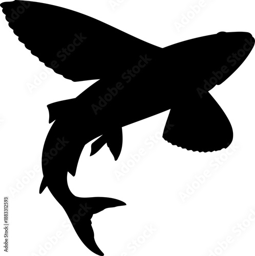 Gliding flying fish silhouette with large wing-like pectoral fins and a streamlined body