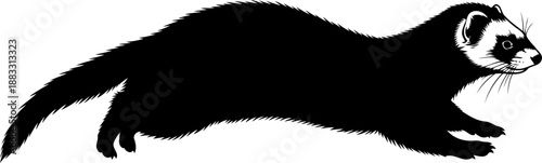 Running ferret black and white graphic illustration in side profile with extended body and legs