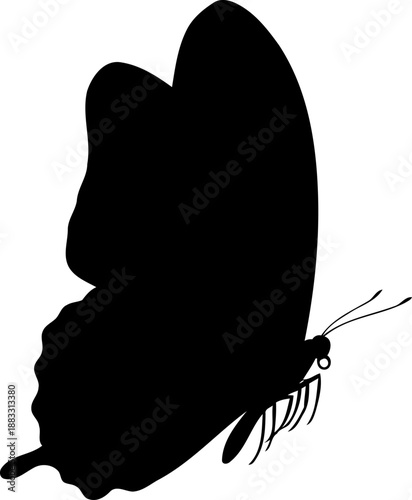 Side profile of a butterfly black silhouette with closed wings and long antennae
