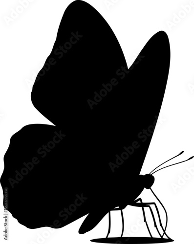 Side profile of a butterfly insect black silhouette with wings held upright and long legs