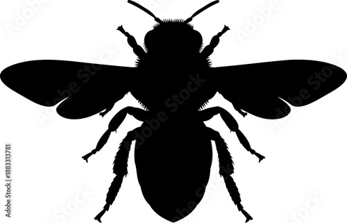 Symmetrical top view silhouette of a honeybee with spread wings and segmented abdomen