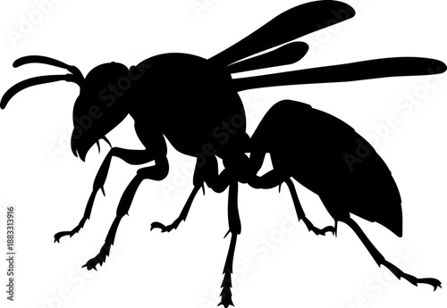 Wasp insect silhouette standing with thin legs and transparent wings in a profile view