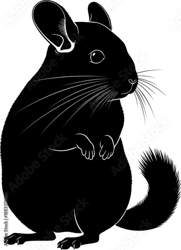 Alert chinchilla rodent silhouette standing on hind legs from a front side view