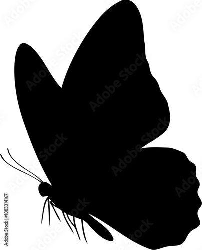 Butterfly silhouette side view wings up vector graphic