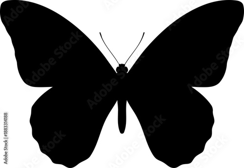 Butterfly silhouette top view open wings vector