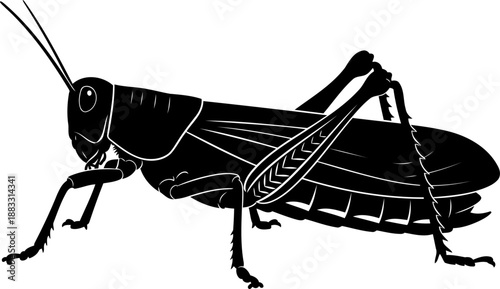 Detailed grasshopper silhouette side view vector graphic for pest control branding