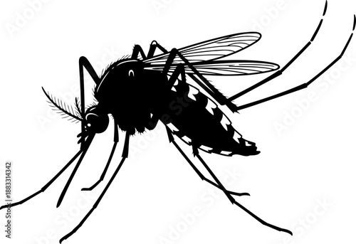 Detailed mosquito silhouette side profile vector art for scientific and educational use