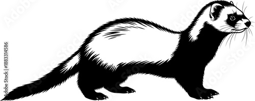 Ferret animal illustration side view black and white line art vector graphic